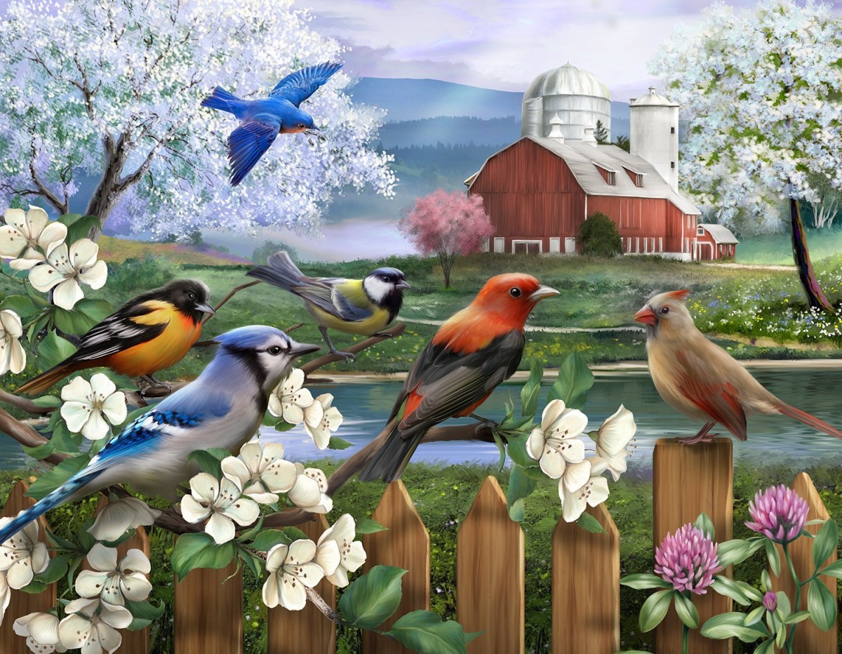 Весенние Птицы Картинки Для Детей
