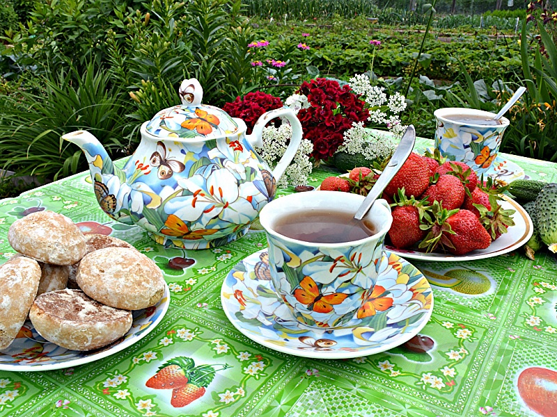 Голая латинка приглашает выпить с ней чаю в саду на даче