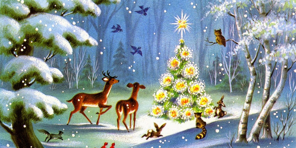 Поздравление В Лесу Зверей Сценарий Рождества Дошкольники