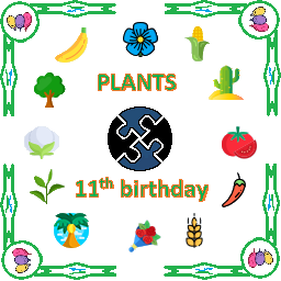 GG11th Birthday Plants