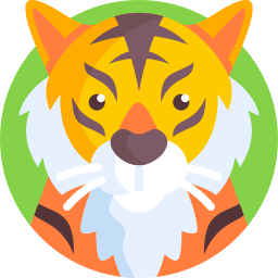 craft/tiger2