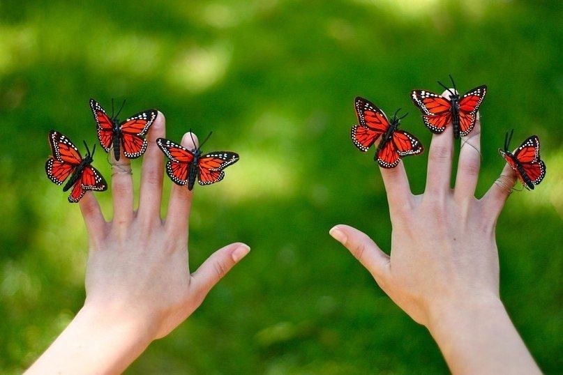 Картинки бабочка на руке красивые