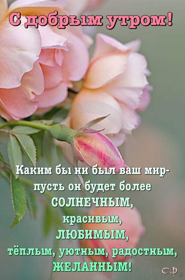 Пусть утро будет добрым а небо мирным картинки с надписями