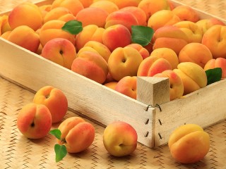 Пазл «Apricots»