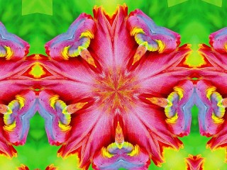 Слагалица «Abstract hibiscus»