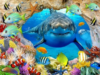 Jigsaw Puzzle «Shark and fish»