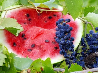 Quebra-cabeça «Watermelon and grapes»