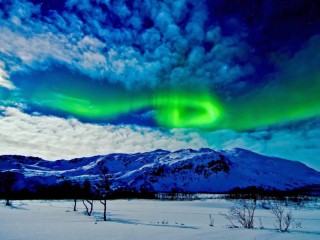 Quebra-cabeça «Aurora borealis»