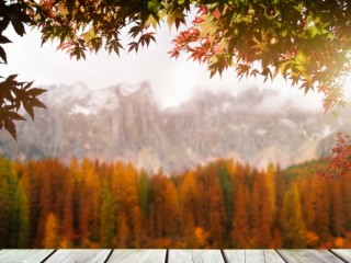 Jigsaw Puzzle «Autumn»