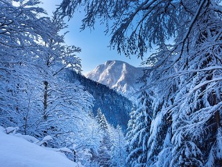 Quebra-cabeça «Austrian winter»