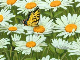 パズル «Butterfly and daisies»