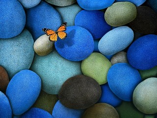 Пазл «Бабочка на камнях»