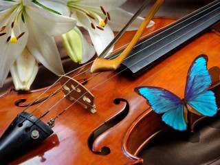 Пазл «Бабочка на скрипке»