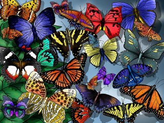 Jigsaw Puzzle «Butterflies»