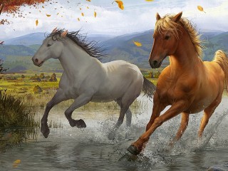 Пазл «Бег лошадей»