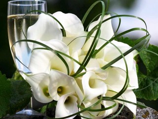 Пазл «White Calla lilies»