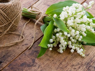 Jigsaw Puzzle «White lily of the valley»