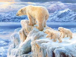 Пазл «Белые медведи»