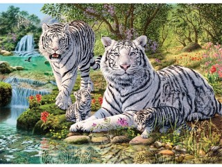 Jigsaw Puzzle «Belie tigri»