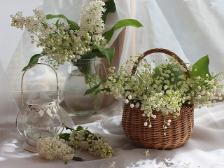 Jigsaw Puzzle «White flowers»