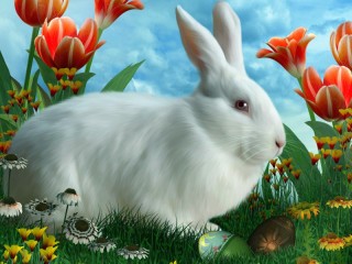 Пазл «Белый кролик»