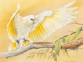 Jigsaw Puzzle «White parrot»