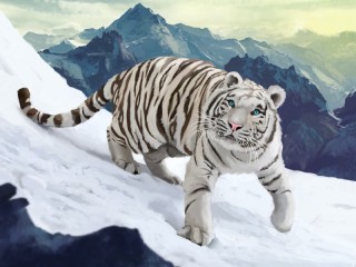 Jigsaw Puzzle «white tiger»