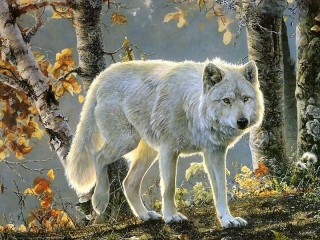 Пазл «White wolf»