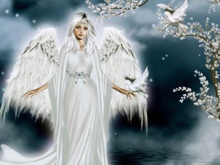 Quebra-cabeça «White angel»