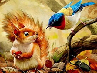 Bulmaca «squirrel and bird»