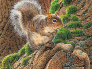 Puzzle «Squirrel on a tree»