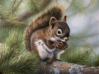 Пазл «Squirrel with a nut»