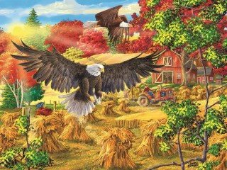 Jigsaw Puzzle «Bald eagles»