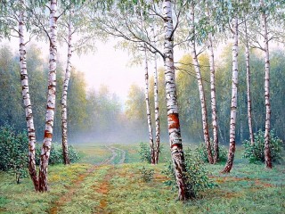 Slagalica «Birch forest»