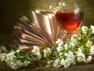 Jigsaw Puzzle «Glass and book»