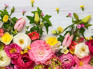 Jigsaw Puzzle «A border of flowers»
