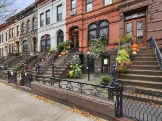Puzzle «Brooklyn houses»