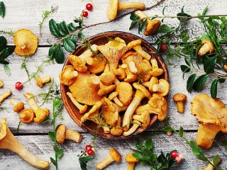Jigsaw Puzzle «Lingonberries and chanterelles»