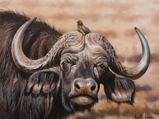 Rompicapo «Buffalo»