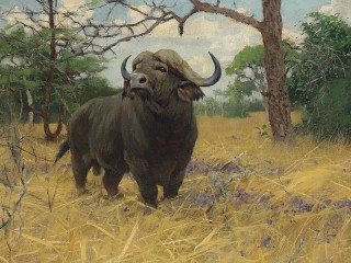 Rompecabezas «Buffalo in the grass»