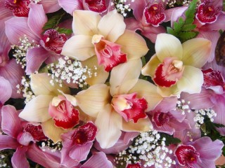 Jigsaw Puzzle «Bouquet of orchids»