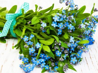 Jigsaw Puzzle «A bouquet of forget-me-nots»