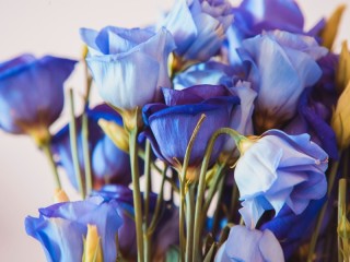 Пазл «Букет синих роз»
