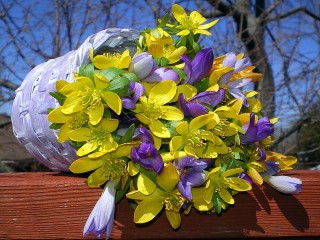 Zagadka «A bouquet of flowers»