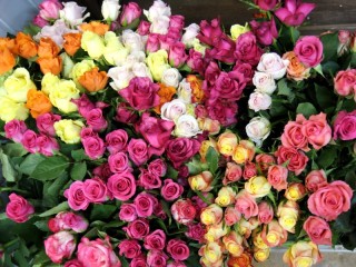 Пазл «Bouquets of roses»