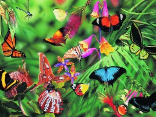 Пазл «Butterflies and Beetles»