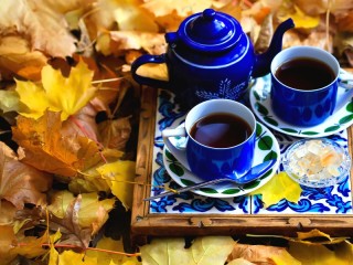 Jigsaw Puzzle «Tea among the leaves»