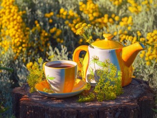 Jigsaw Puzzle «Cup of tea»