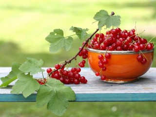 Пазл «Cup of red currant»