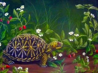 Jigsaw Puzzle «Turtle»